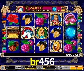 Descubra o Mundo do Cassino Online com br456