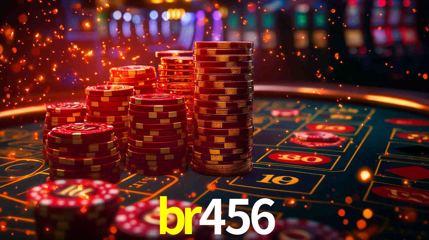 br456 App Interface